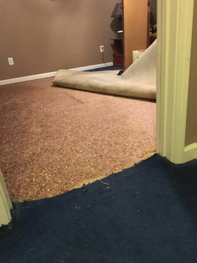 Carpet pad removal revealing water damage during Water Mitigation Services in Osceola